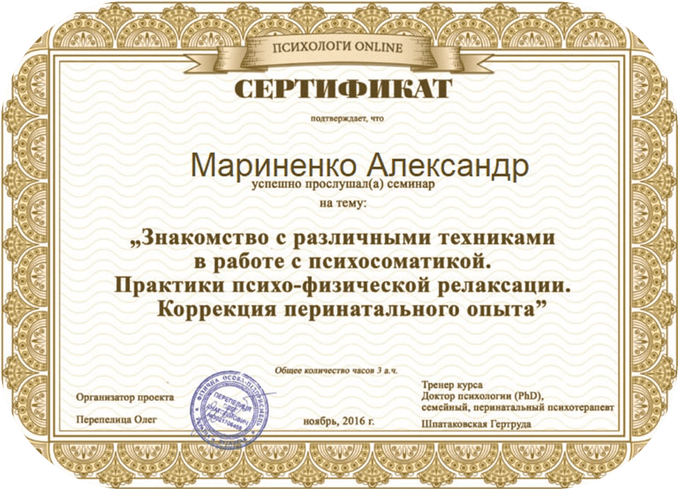 Сертификат 16